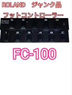 Item thumbnail for item 2fec6130-7144-438e-91c9-2018523a3cee