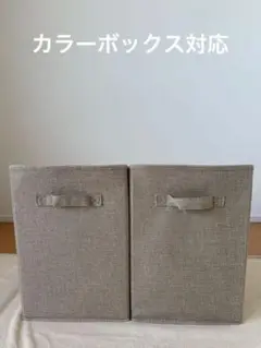 カラーボックス対応　収納ボックス2個セット