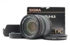 Item thumbnail for item 21c71a48-5ed1-423e-ad93-526b7c5faecf