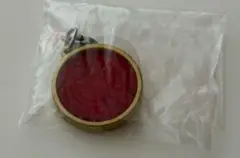 仮面ライダーめじるしアクセサリー　タカ　コアメダル