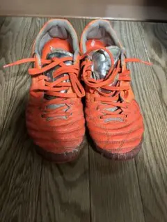 NIKE スーパーリゲラ3 26.0