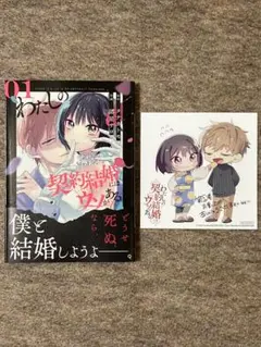 わたしの契約結婚にはウソがある　1巻　特典付き