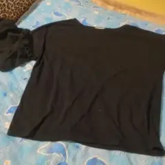 アースミュージックアンドエコロジー Tシャツ