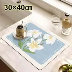 Item thumbnail for item 3c0e1c8e-603d-4db0-978a-05ce2b466946