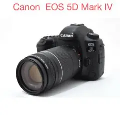 Item thumbnail for item 35647405-b824-432b-b4cd-0569e933c738