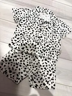 セットアップ