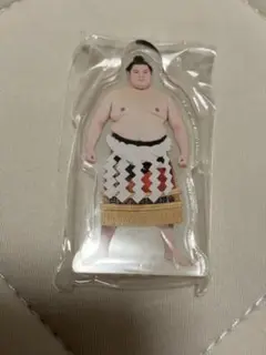 大の里 横綱ver 大相撲 アクリルスタンド 名古屋場所 ガチャガチャ