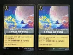 ロルカナ ホールニューワールド2枚セット