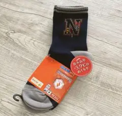 Item thumbnail for item 784cf2a2-fad5-4694-8f8f-810477f24365