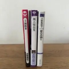 沙野風結子 上海散華 隣人吸血鬼 獣の月隠り 3冊セット