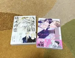 積木の恋　シガレット、シュガーキス