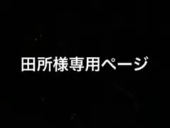 専用ページ