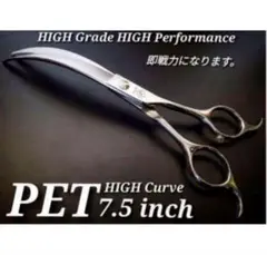 Item thumbnail for item 28d36560-d931-48a8-86ed-2469fe5cb868