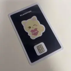 BLACKPINK ロゼ rose NAMANEカード 韓国限定
