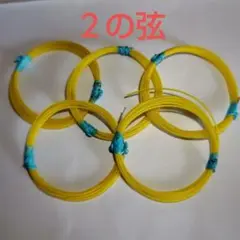 Item thumbnail for item c28ec026-7904-4ed6-8540-29e6bdfee7a4