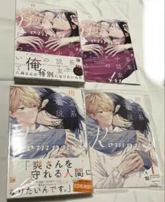 翻弄系小説家とのロマンスについて　相愛系小説家とのロマンスについて　アニメイト