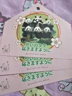 アドベンチャーワールド　七夕