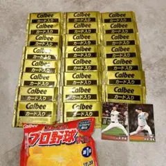 カルビー 2025プロ野球チップス第１弾　カード 24パック