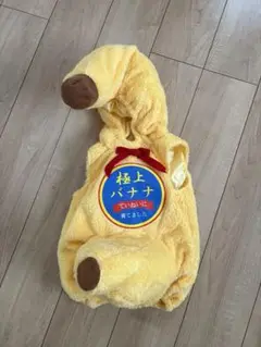 Item thumbnail for item 80f22fb2-703b-4282-a1b8-dd45a964f452