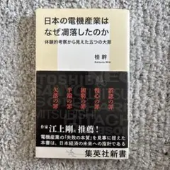 日本の電機産業はなぜ凋落したのか 体験的考察から見えた五つの大罪