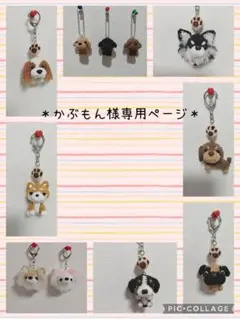 かぶもん様 あみぐるみ専用ページ＊