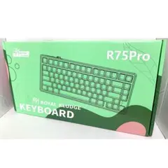 ROYAL KLUDGE R75 メカニカルキーボード 有線 RGB 75%