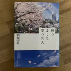 桜のような僕の恋人