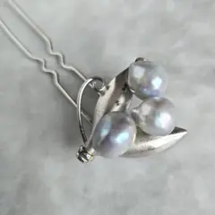 Item thumbnail for item fcd541c9-3fcd-4277-b4ac-bd1cdfd34a4b