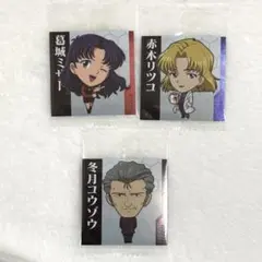 エヴァ ウエハース まとめ売り