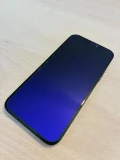 iPhone12 本体
