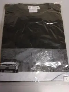 Item thumbnail for item 5c697477-c745-4d3e-8bc5-4ea141a1b678