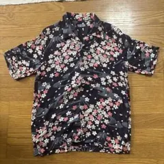 Item thumbnail for item 15d9779a-6223-42b0-9168-a90327f8ae59