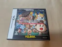 dsソフト the 原始人