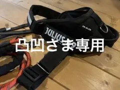 K9のステルスパワーハーネスとリード(28kg〜40kg)