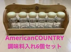 AmericanCOUNTRY 調味料（スパイス）入れ6個