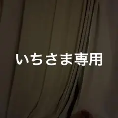 専用