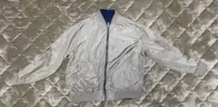 Item thumbnail for item 7b1d4170-e1f6-4401-aea9-91acfdee9562