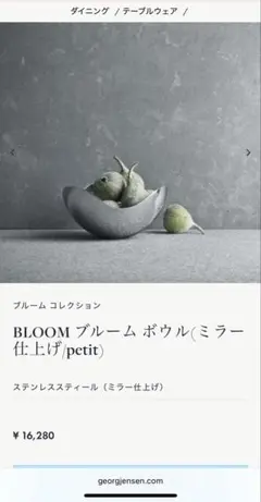 Georg Jensen BLOOMブルームボウル (ミラー仕上げ/petit)