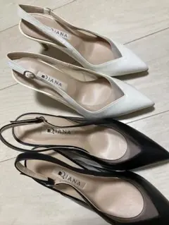 Item thumbnail for item 05404f4f-16a4-4be0-a08f-0b597a6dbc4e