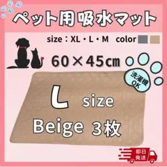 Item thumbnail for item 0ea3a05e-0806-473c-9acd-b8cc998fe22a