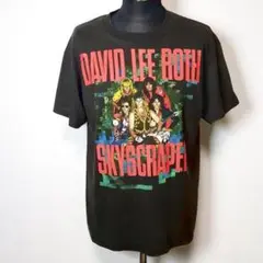 80年代 ビンテージ ロックT　DAVID LEE ROTH Original vintage 1988 David Lee Roth Skyscraper Tour Shirt