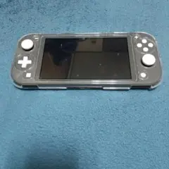 Nintendo Switch NINTENDO SWITCH LITE グ…