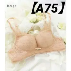 Item thumbnail for item e312f8dc-5c30-476d-a823-f51da43e1bae