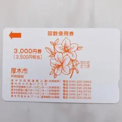 神奈川県厚木市　市営スポーツ施設回数券　プール　2310円分