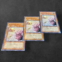 9546【遊戯王】人投げトロール　3枚セット