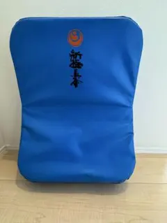 新極真会　空手練習用ミット