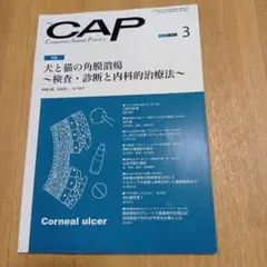 裁断済み　CAP 2021年 3月号 角膜潰瘍
