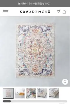 【未使用】FloralVinesTribalRug120×170