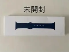 未開封 Apple Watch スポーツバンドステンレススチールピン 41MM