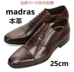 新品18700円☆madrasマドラス 革靴 ビジネスシューズ 25cm茶 本革